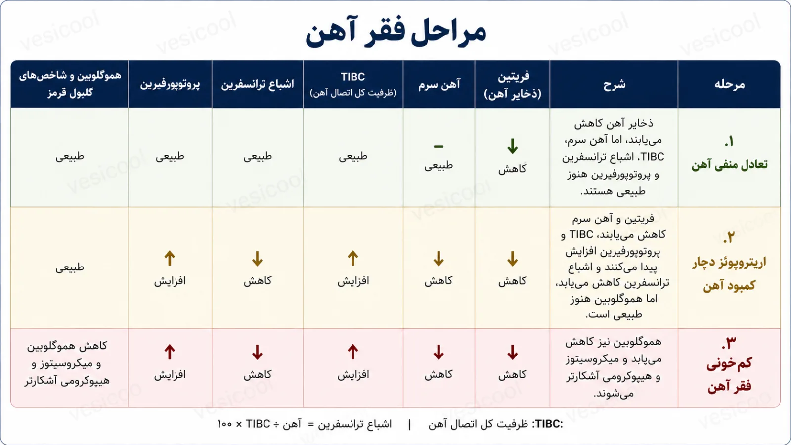 شاخصهای آزمایشگاهی در مراحل پیشرفت فقر آهن